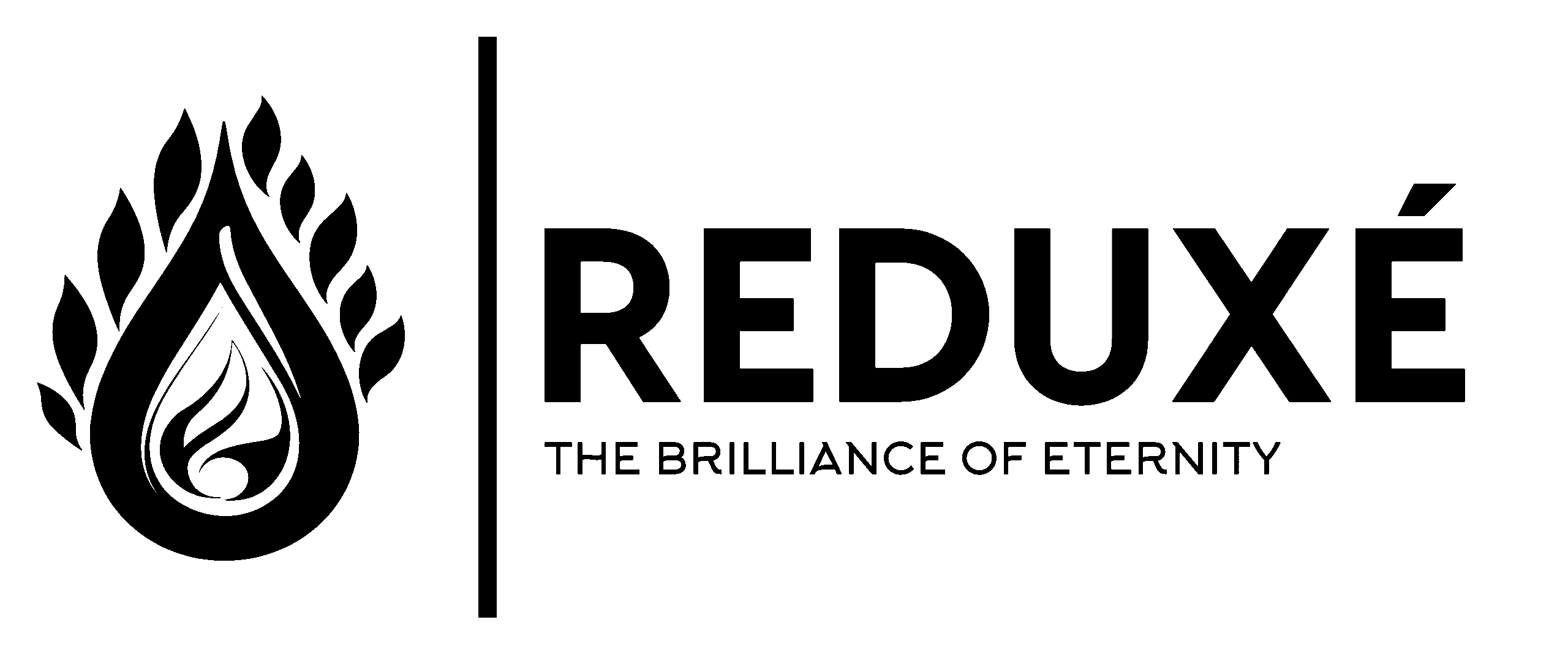 noBgBlack